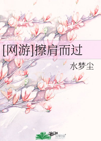 [網遊]擦肩而過小說