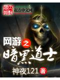 網遊之暗黑道士小說
