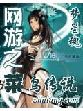 網遊之菜鳥傳說小說