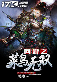 網遊之菜鳥無雙小說