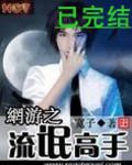 網遊之超級高手小說