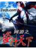 網遊之盜行天下小說