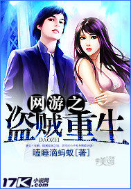 網遊之盜賊重生小說