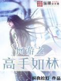 網遊之高手如林小說