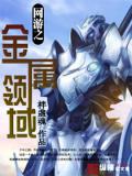 網遊之金屬領域小說