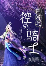 網遊之控風騎士小說