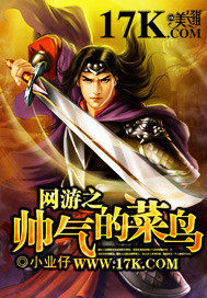 網遊之帥氣的菜鳥小說