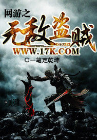 網遊之無敵盜賊小說
