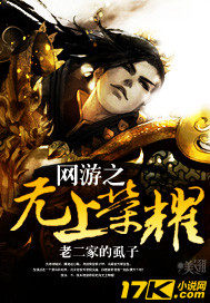 網遊之無上榮耀小說