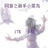 網遊之新手小菜鳥小說