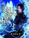 網遊之縱橫人生小說