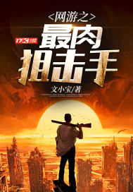網遊之最肉狙擊手小說