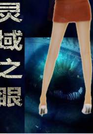王者在上之靈域之眼小說