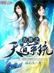 萬界之天道系統小說