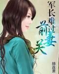 【完】軍長難過前妻關小說
