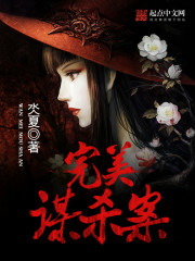 完美謀殺案小說