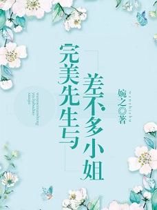 完美先生與差不多小姐小說