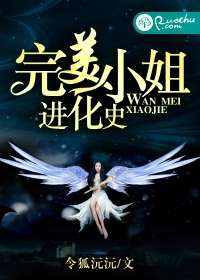 完美小姐進化史小說