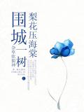 圍城：一樹梨花壓海棠小說