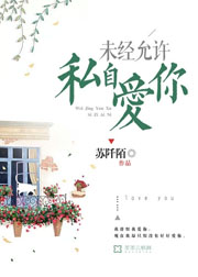 未經允許，私自愛你小說