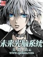 未來光腦系統小說