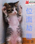位面劫匪小說