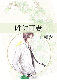 唯你可妻小說