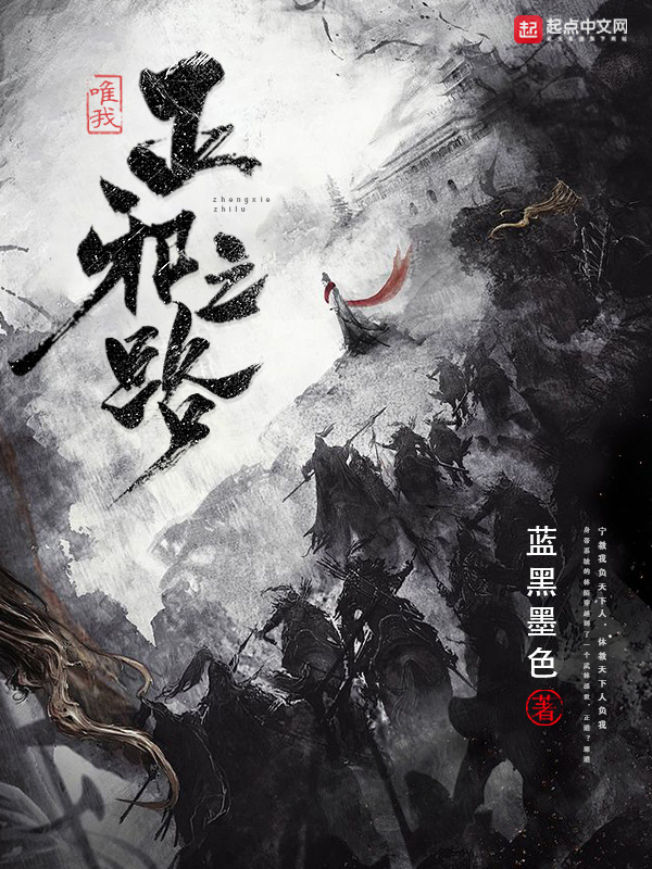 唯我正邪之路小說