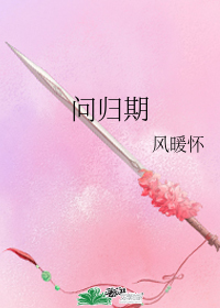 問歸期小說