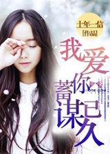 我愛你，蓄謀已久小說