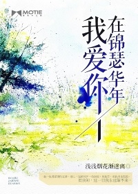 我愛你，在錦瑟華年小說