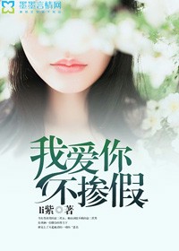 我愛你不摻假小說