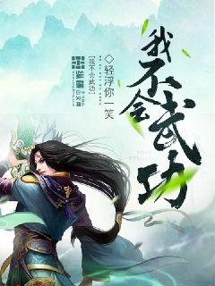 我不會武功小說