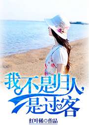 我不是歸人，是過客小說