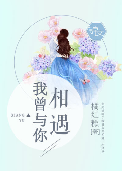 我曾與你相遇小說