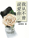 我從不曾說愛你小說