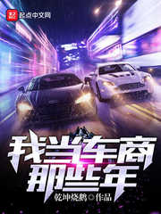 我當車商那些年小說