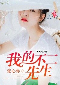 我的不二先生小說