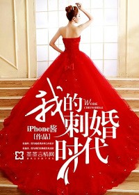 我的刺婚時代小說