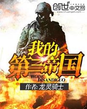 我的第三帝國小說