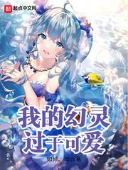 我的幻靈過於可愛小說