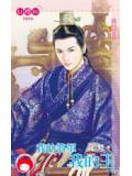 我的將軍我的王小說