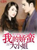 我的嬌蠻大小姐小說