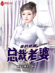 我的嬌媚總裁老婆小說