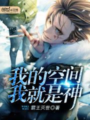我的空間我就是神小說