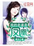 我的老婆是鳳凰小說