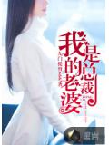 我的老婆是總裁小說