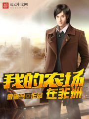 我的農場在非洲小說