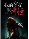 我的女友很奇怪小說