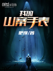 我的山寨手錶小說